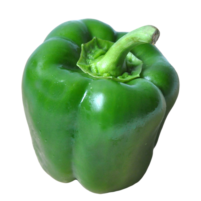 Picture of CAPSICUM GREEN