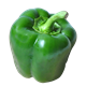 Picture of CAPSICUM GREEN