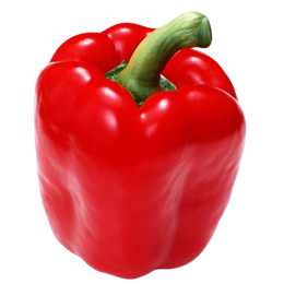 Picture of CAPSICUM RED