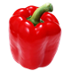 Picture of CAPSICUM RED