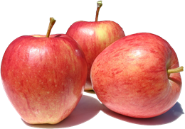 Picture of APPLE ROYAL GALA LARGE