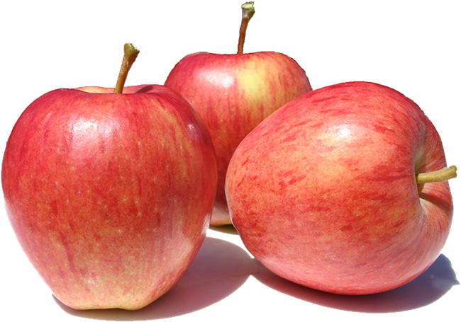 Picture of APPLE ROYAL GALA LARGE