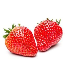 Picture of STRAWBERRY PUNNET