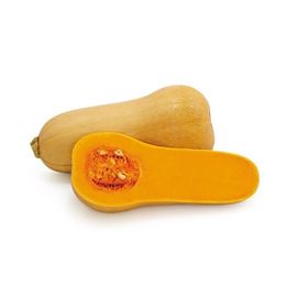 Picture of PUMPKIN BUTTERNT WHOLE