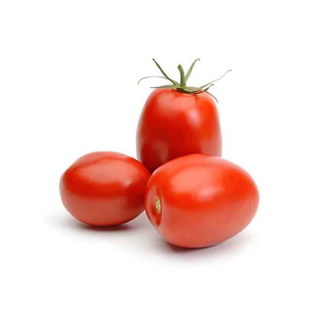 Picture of TOMATO ROMA