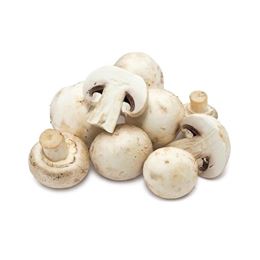 Picture of MUSHROOM CUP