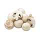 Picture of MUSHROOM CUP
