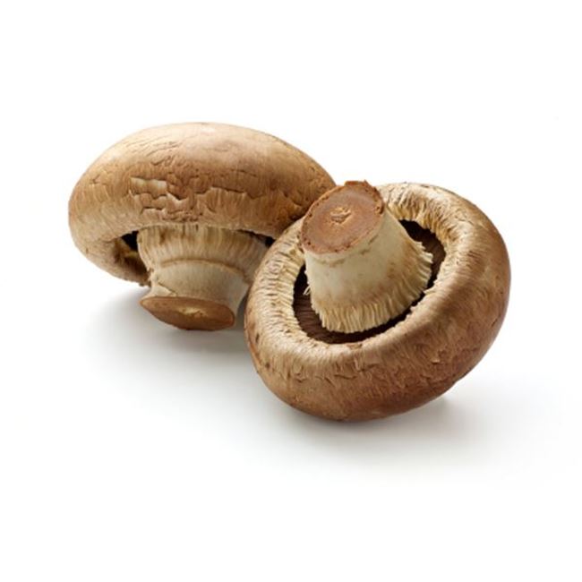 Picture of MUSHROOMS SWISS BROWN