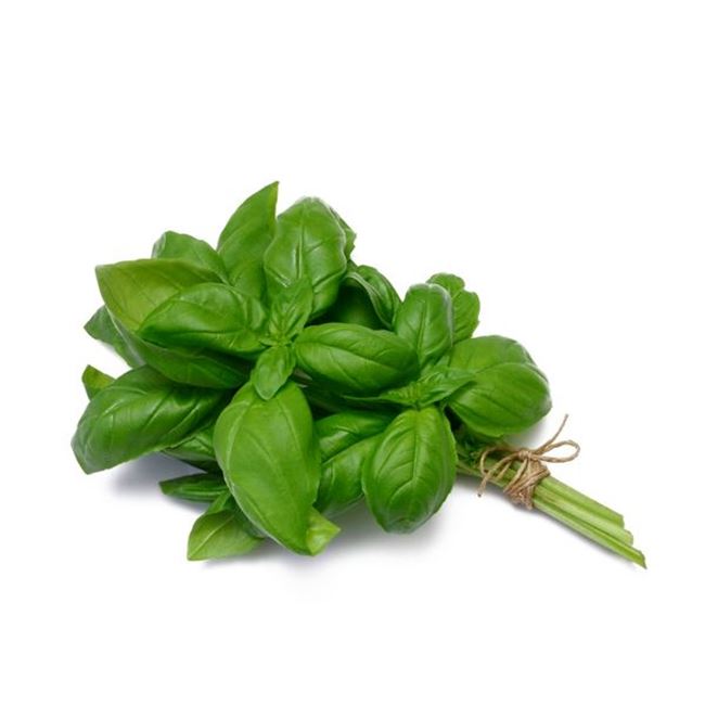 Picture of HERBS BASIL ITALIAN