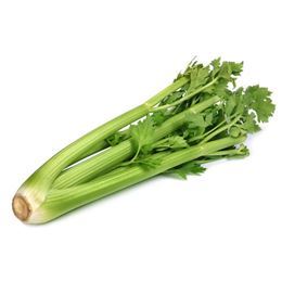 Picture of CELERY BUNCH WHOLE
