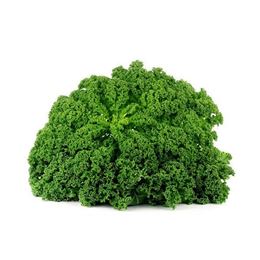 Picture of KALE BUNCH