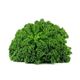 Picture of KALE BUNCH