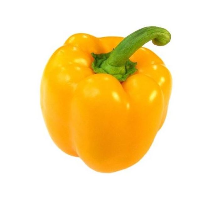 Picture of CAPSICUM YELLOW