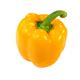 Picture of CAPSICUM YELLOW