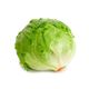 Picture of LETTUCE ICEBERG