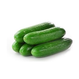 Picture of CUCUMBER LEBANESE