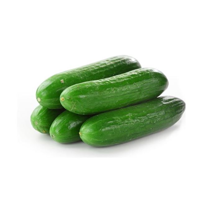Picture of CUCUMBER LEBANESE